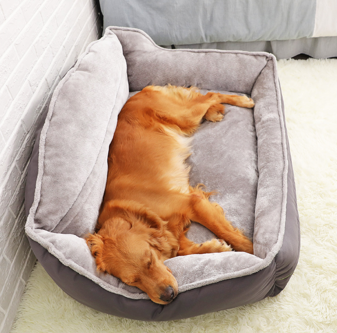 Pawtique™ Dog Bed