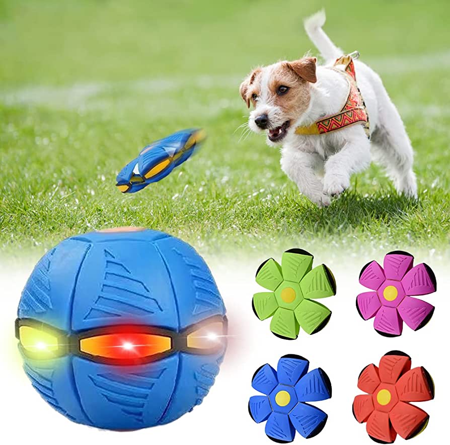 Pawtique™ Dog Frisbee