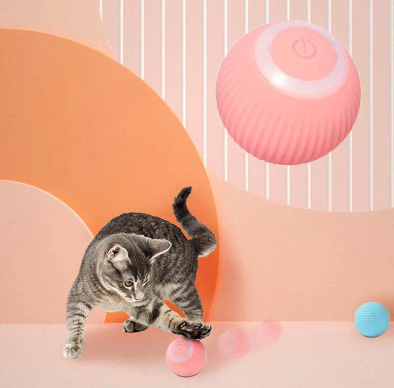 Pawtique Interactive Ball