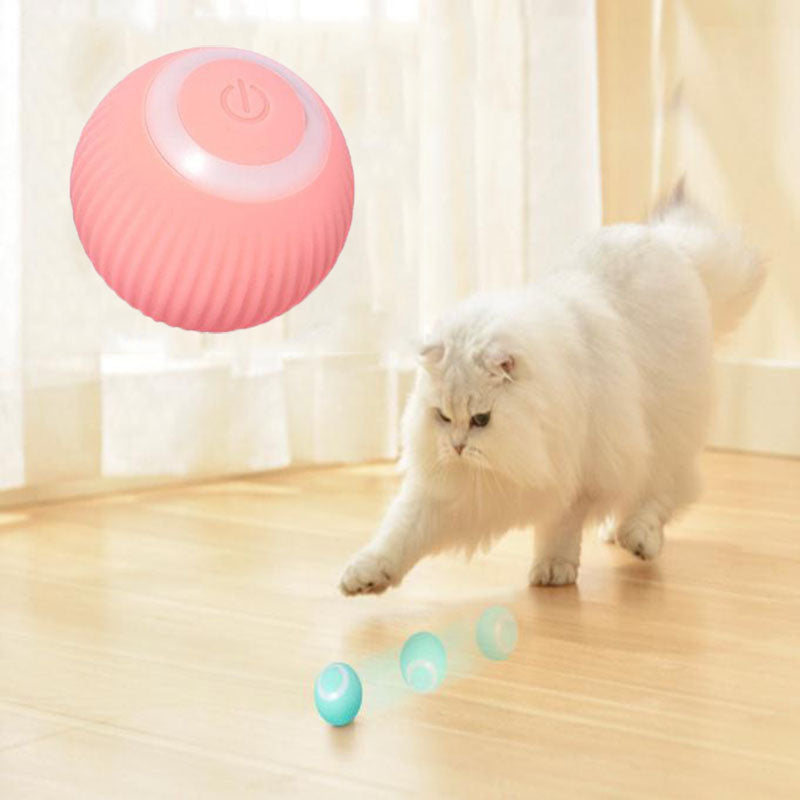 Pawtique Interactive Ball
